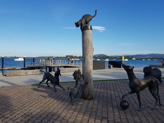 Hairy Maclary & Friends Tauranga Waterfront Sculpture